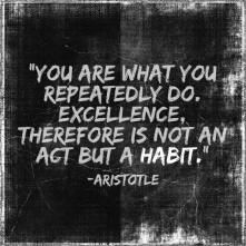 aristotle quote habits
